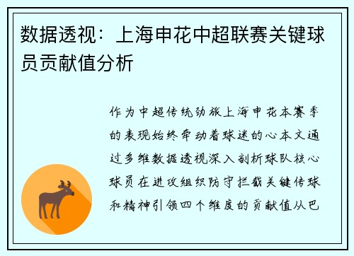 数据透视：上海申花中超联赛关键球员贡献值分析